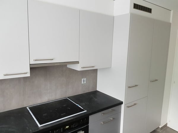 Bel appartement de 4 pièces entièrement rénové en 2018 dans quartier calme ! 2