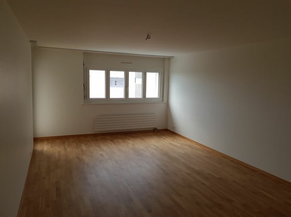 Bel appartement de 4 pièces entièrement rénové en 2018 dans quartier calme ! 3