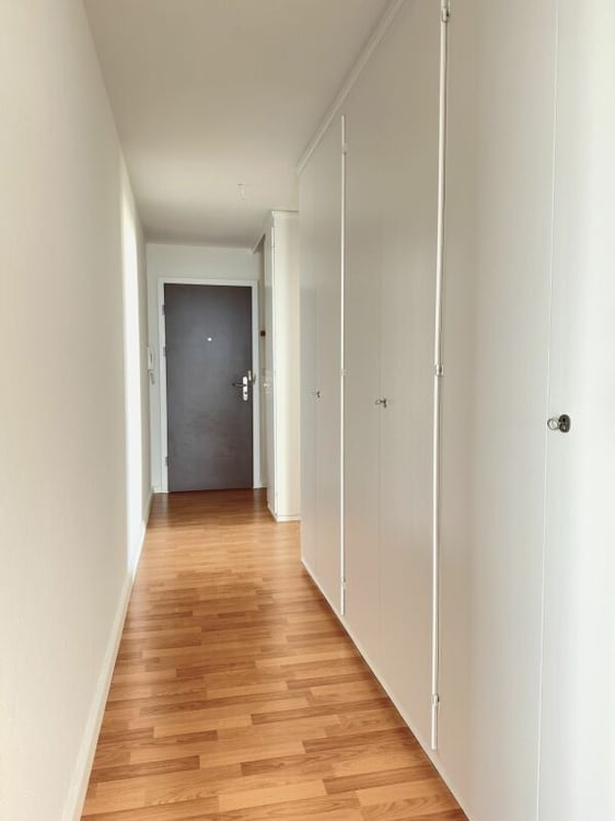 Bel appartement de 4.5 pièces dans quartier calme ! 8