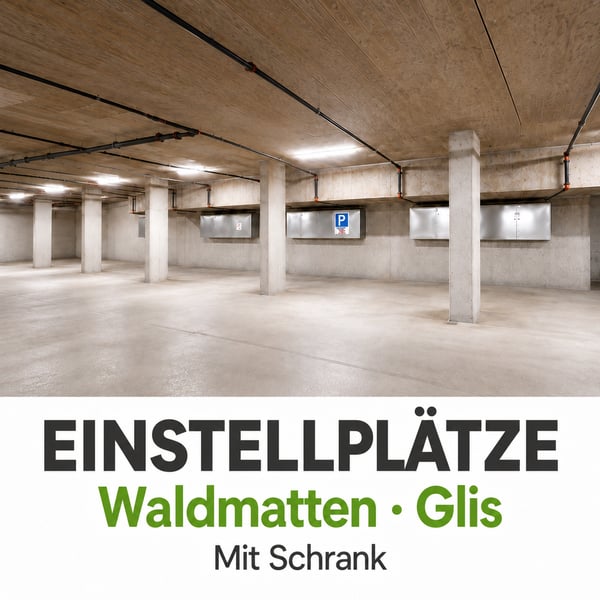 Einstellplätze mit dazugehörigem Schrank oder Reduit in Glis 1