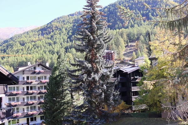 Charmante 2.5-Zimmer-Wohnung in Zermatt – Möbliert & Sofort Verfügbar 10