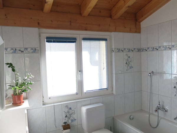 Villa familiale sur la commune de Sion 10