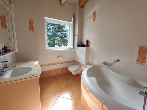 Villa de caractère à Saint-Maurice – 5.5 pièces avec vue et grand terrain 8