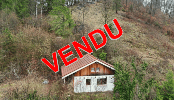 Soubey, petite maison atypique située en lisière de forêt