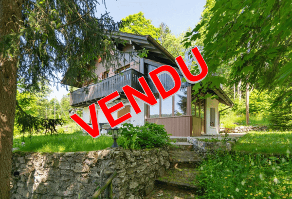 Les Pontins, magnifique chalet en pleine nature avec garage