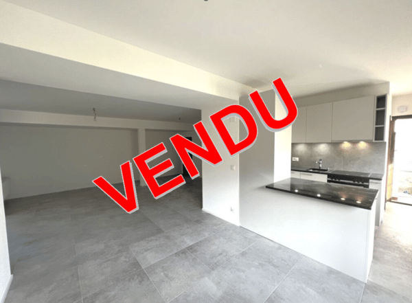 Villeret, lot de 2 appartements entièrement rénovés
