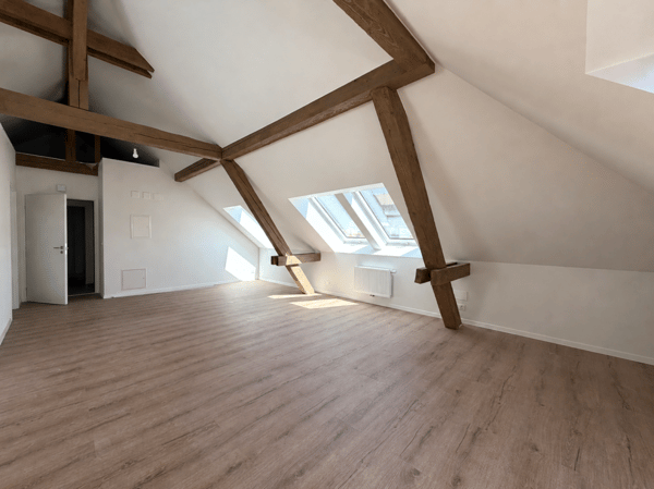 St-Imier, magnifique appartement neuf de 2 pièces de type loft 4