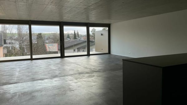 Nidau, splendide duplex haut standing 5.5 pces - 205 m2 avec parking et jardin commun 3
