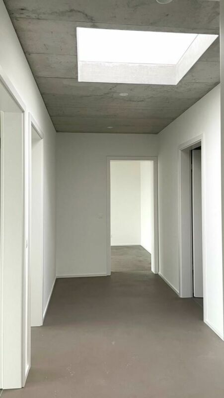 Nidau, splendide duplex haut standing 5.5 pces - 205 m2 avec parking et jardin commun