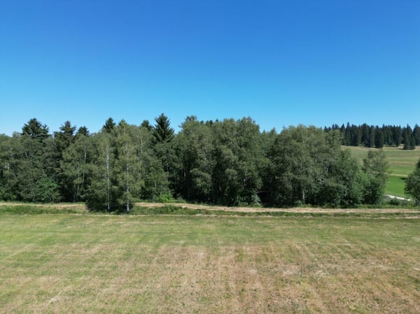 Le Cerneux-Péquignot, chalet de loisirs dans avec forêt - 2000m2 6