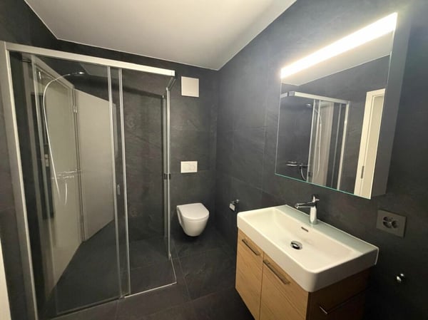 Villeret, splendide appartement de 4.5 pièces avec terrasse et jardin privatif 12