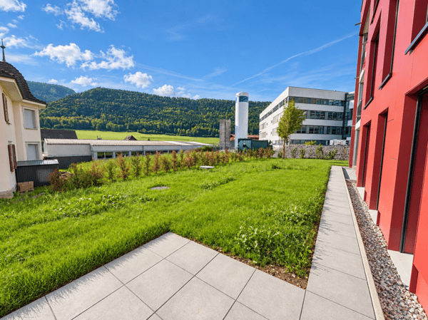 Villeret, magnifique appartement de 3.5 pièces avec jardin privatif et garage 1