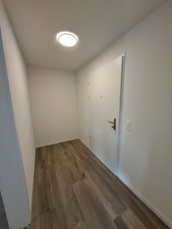 1.5 Zi-Wohnung mit Balkon, NEUBAU 9