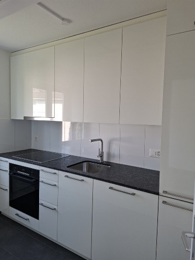 sehr schöne neu renovierte 3 1/2 ZW 3