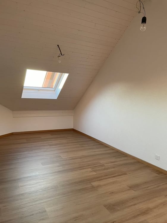 Charmantes Doppeleinfamilienhaus an sonniger Lage in Metzerlen-Mariastein 23