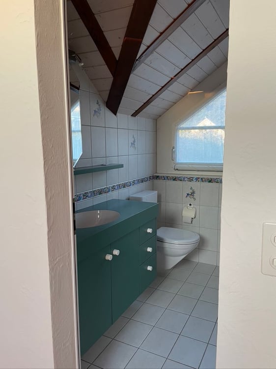 Charmantes Doppeleinfamilienhaus an sonniger Lage in Metzerlen-Mariastein 26