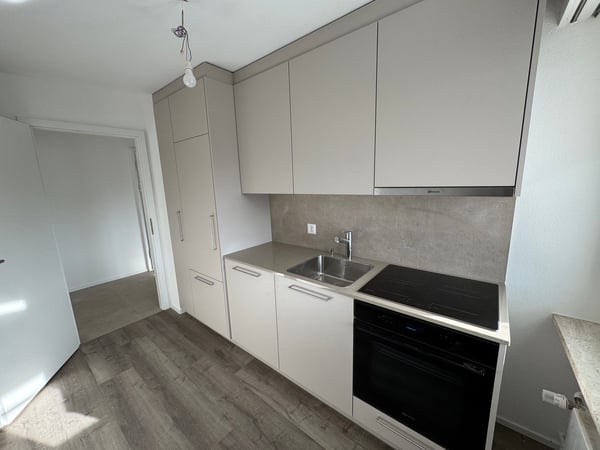 Frisch sanierte 1-Zimmer-Wohnung an ruhiger Lage in Reinach mit Balkon 3