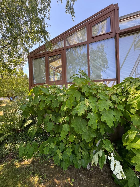 Freistehendes 5-Z-EFH mit Wintergarten u.gr. Garten mit schönem Baumbestand in Witterswil – 8