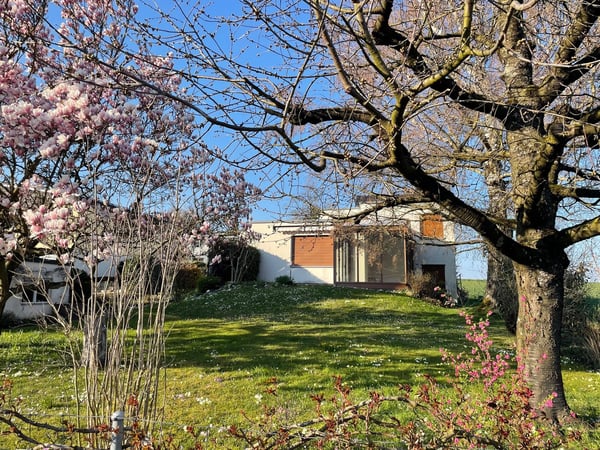 Freistehendes 5-Z-EFH mit Wintergarten u.gr. Garten mit schönem Baumbestand in Witterswil – 2