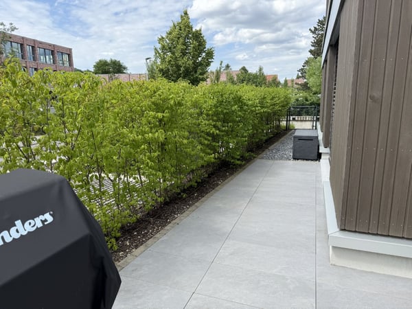 Moderne 3.5-Zimmer-Wohnung mit Wintergarten und Gartenbereich in Reinach 14