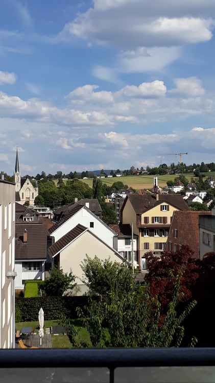4.5 Zimmer Attika-Wohnung mit 112 m2 - an bester Lage in Binningen 10