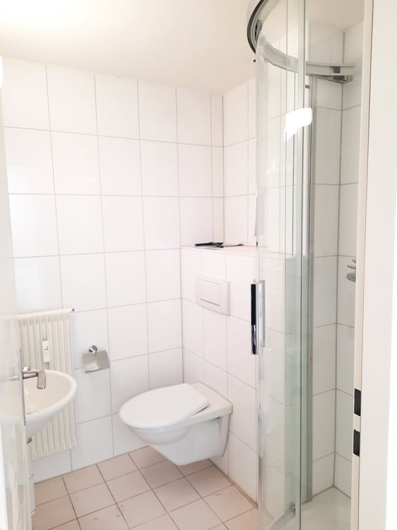 4.5 Zimmer Attika-Wohnung mit 112 m2 - an bester Lage in Binningen 9