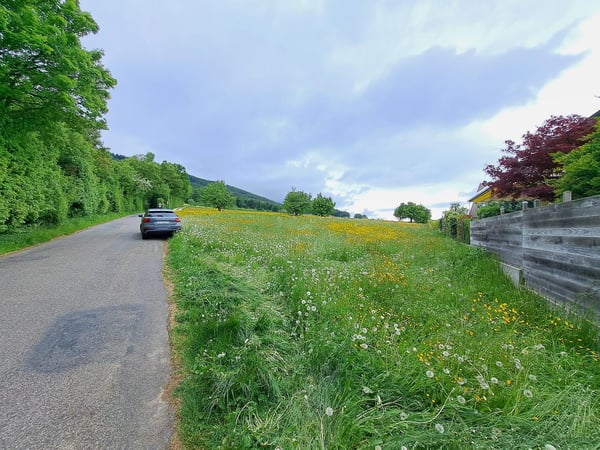 Attraktives Bauland in ruhiger Lage in Hofstetten-Flüh 3