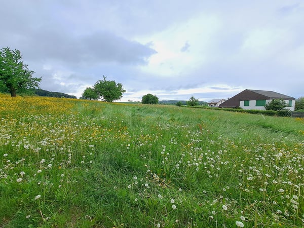 Attraktives Bauland in ruhiger Lage in Hofstetten-Flüh 2