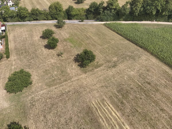 Attraktives Bauland in ruhiger Lage in Hofstetten-Flüh 5
