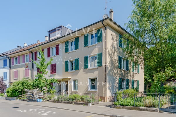 Ein eigenes Haus in Basel: Garten, Ertrag und viel Spielraum 1