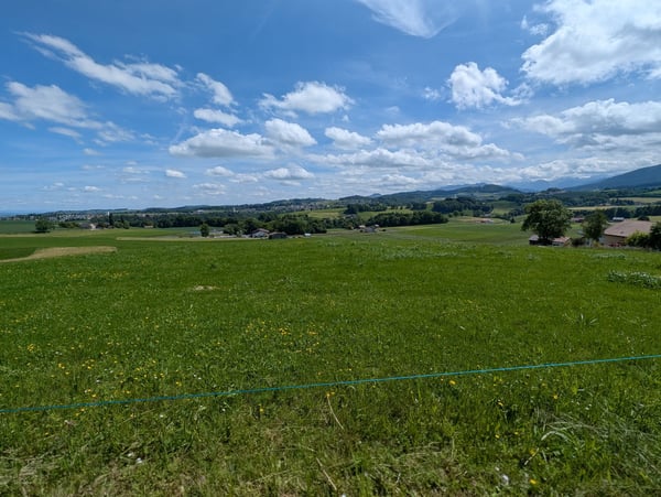 Offres à envoyer par email à terrain-voos@ik.me jusqu'au 15 décembre 2025 4