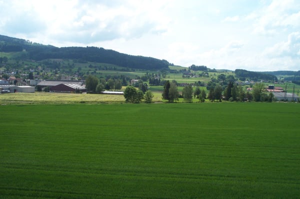 Grosszügige 1.5-Zimmer-Dachwohnung mit herrlicher Aussicht in Reinach AG 19
