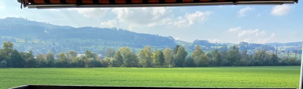 Grosszügige 1.5-Zimmer-Dachwohnung mit herrlicher Aussicht in Reinach AG 20