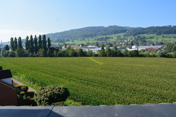 Grosszügige 1.5-Zimmer-Dachwohnung mit herrlicher Aussicht in Reinach AG 3