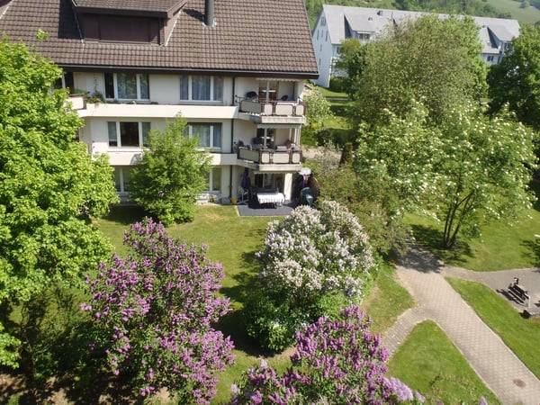 Grosszügige 2.5-Zimmerwohnung im Grünen 7