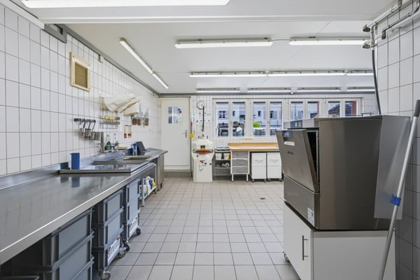 Attraktives Wohn- und Geschäftshaus im Möösliquartier 20
