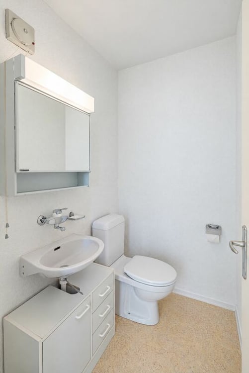 3.5 Zimmer Attika-Terrassenwohnung mit See- und Alpensicht 10