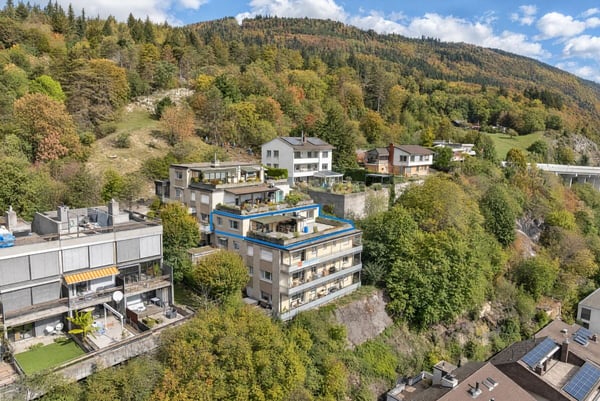 3.5 Zimmer Attika-Terrassenwohnung mit See- und Alpensicht 13