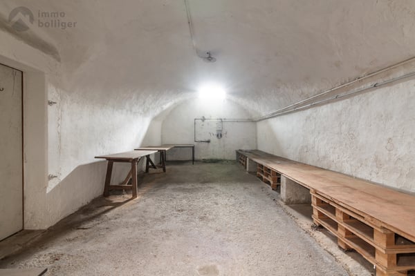 Geschichtsträchtige Wohn- und Gewerbeliegenschaft 8