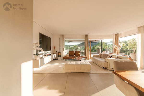 Exquisite Attikawohnung mit Weitblick 2