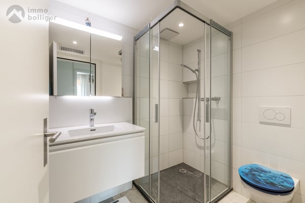 Ein Haus, zwei Wohnungen: Leben am Fuss des Heitern 6