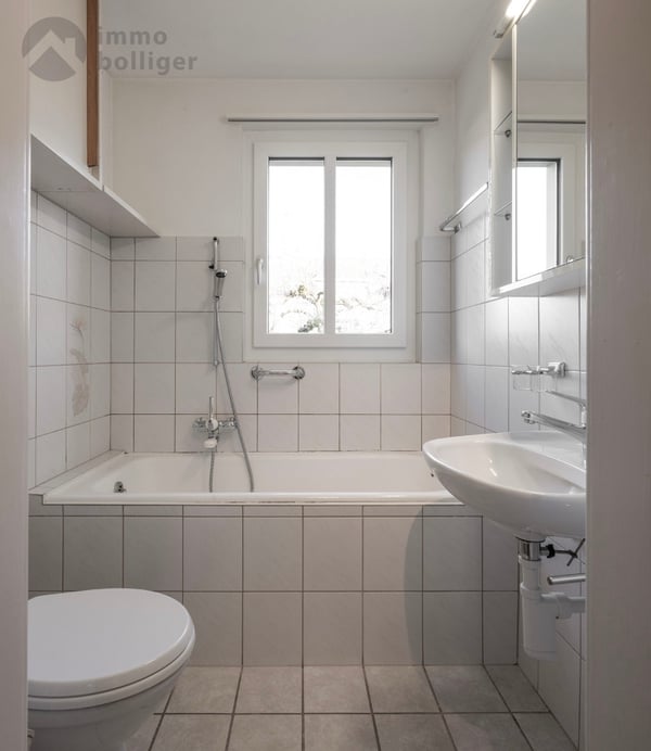 Charmante Liegenschaft mit Lebensqualität in Brittnau 8