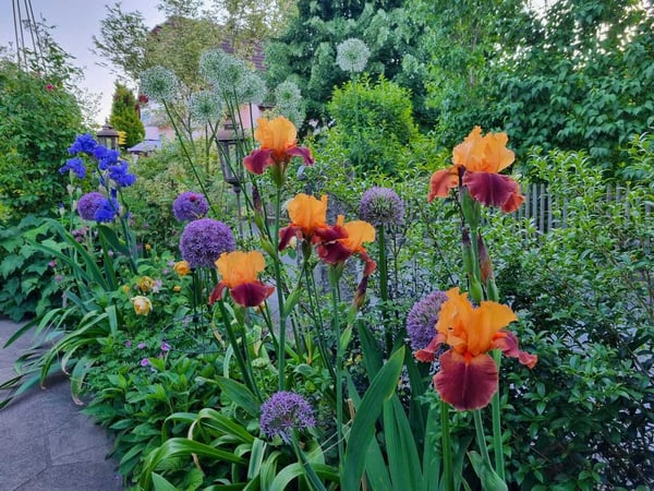 Blumiges Zuhause am Flieder-Weg 13