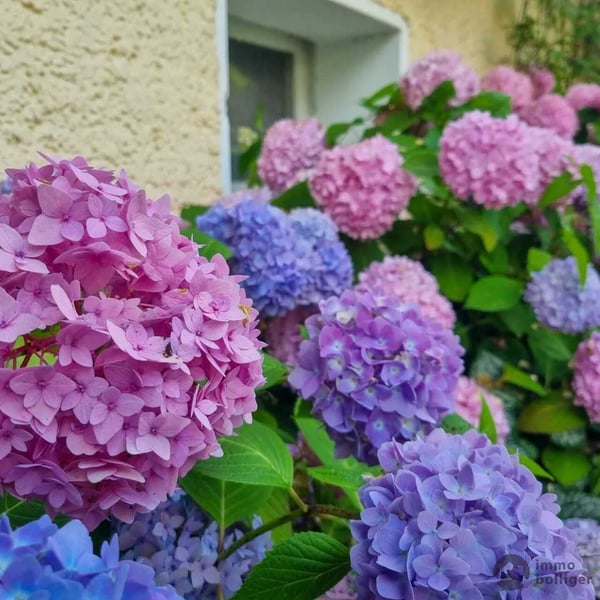 Blumiges Zuhause am Flieder-Weg 12