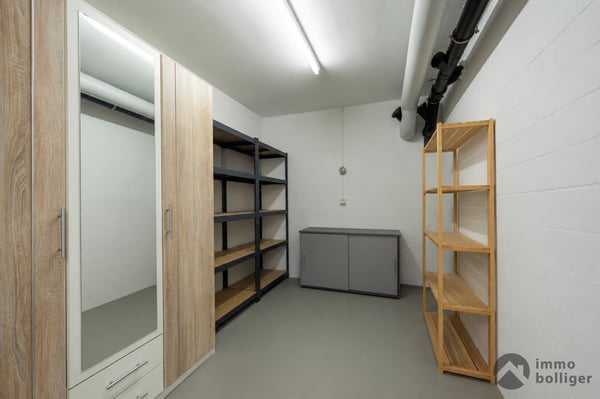 Wunderschöne 4 ½ Zimmer Wohnung in Zofingen 11