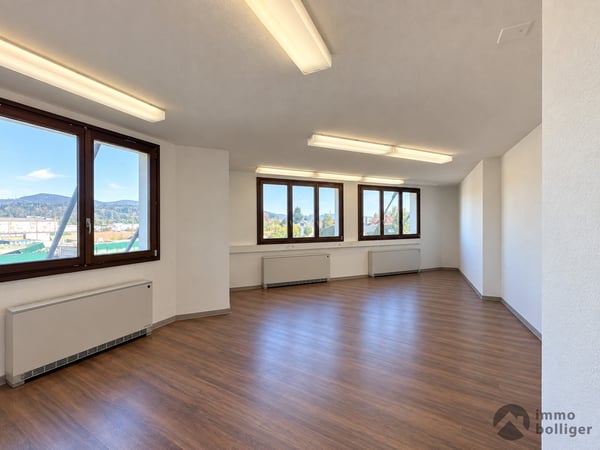 Ein Standort. Viele Möglichkeiten. Gewerbe, Lager und Büro vereint. 7