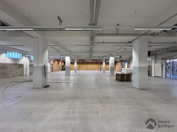 Ein Standort. Viele Möglichkeiten. Gewerbe, Lager und Büro vereint. 4