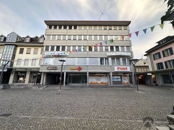 Arbeiten oder Wohnen? Vielseitige Räumlichkeiten an zentraler Lage 9