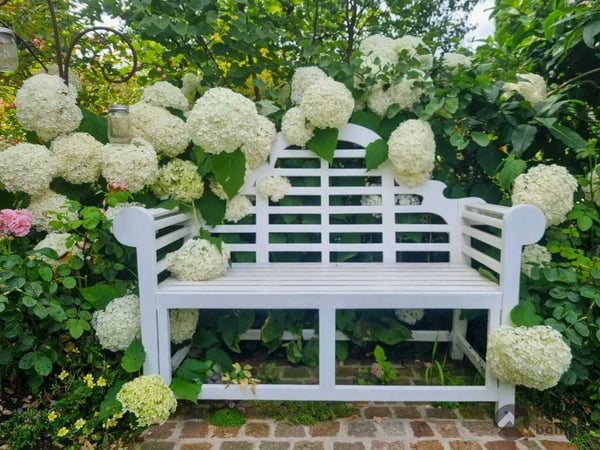 Blumiges Zuhause am Flieder-Weg 13