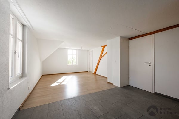 Wohnen, Gewerbe, Bauland - Rendite mit Potenzial in Reitnau 6